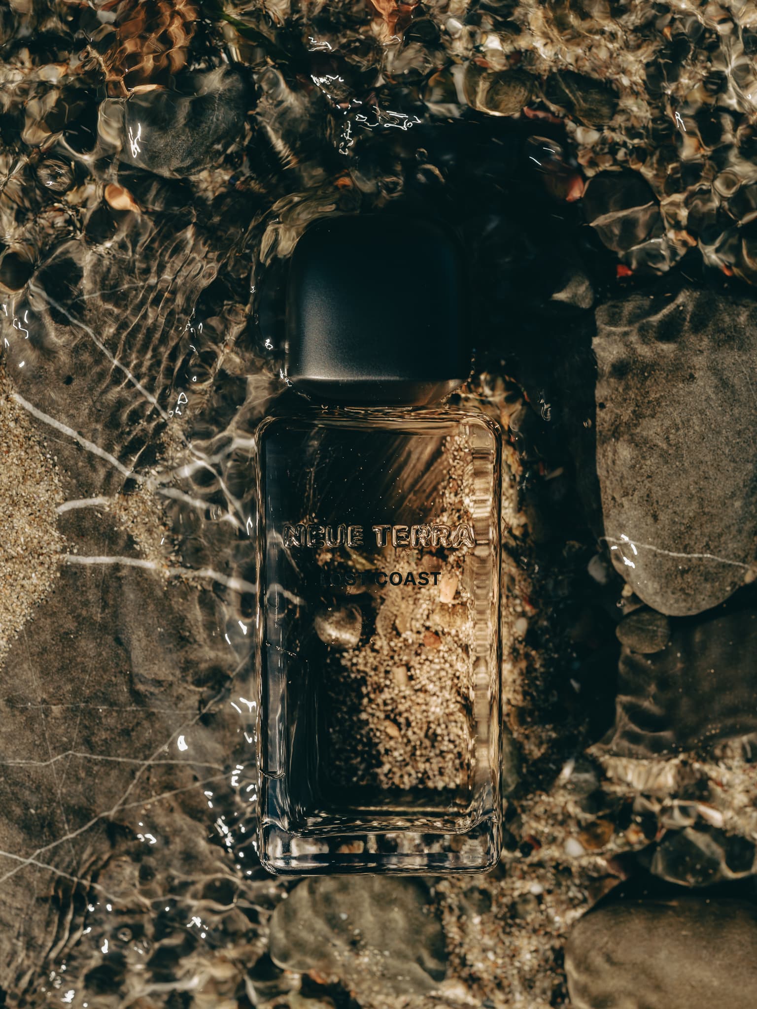 Lost Coast bottle lying among dark wet coastal stones
