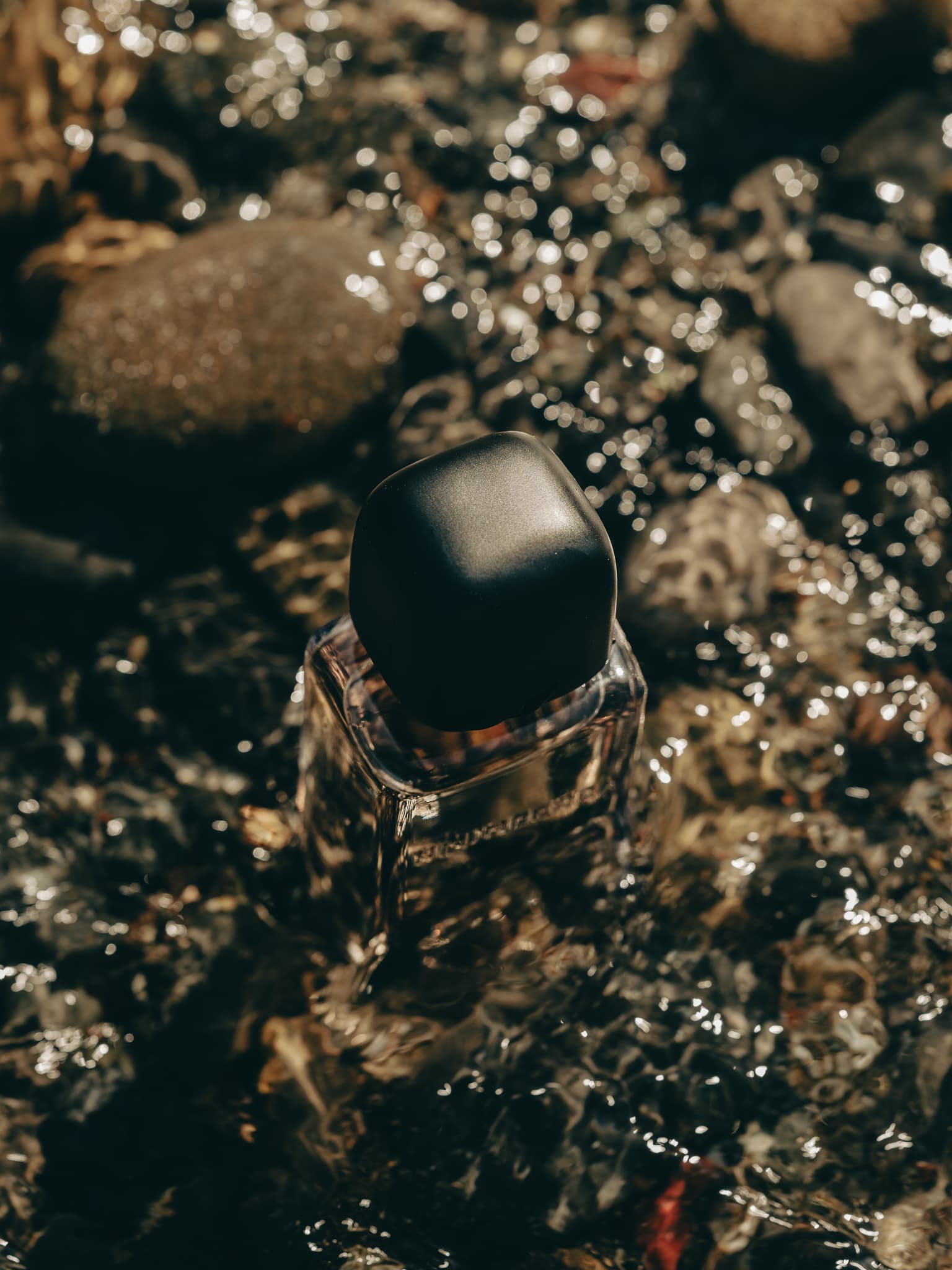 Lost Coast bottle cap among wet stones at the tideline