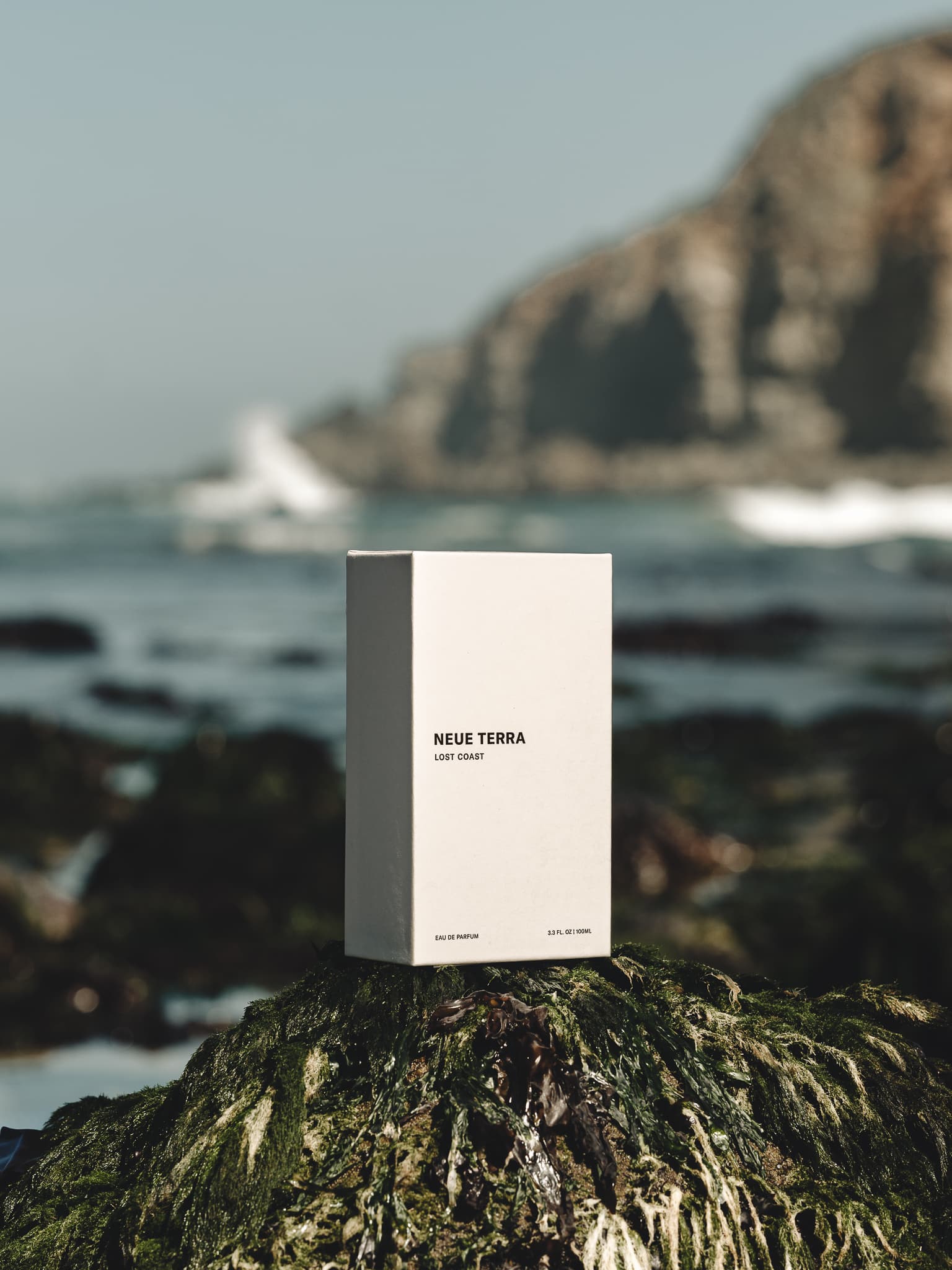 Lost Coast presentation box on a mossy rock above the shoreline