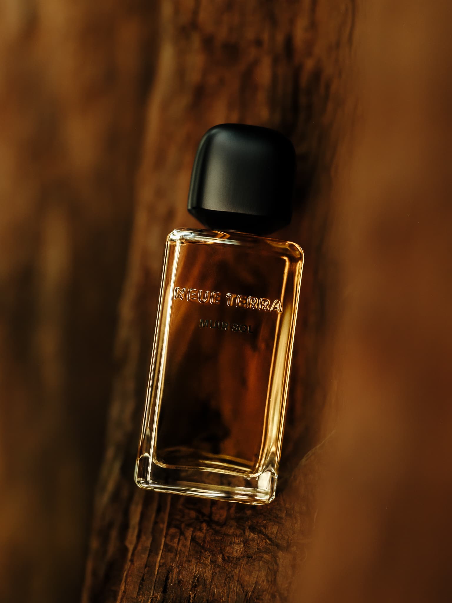 Muir Sol bottle resting against redwood bark